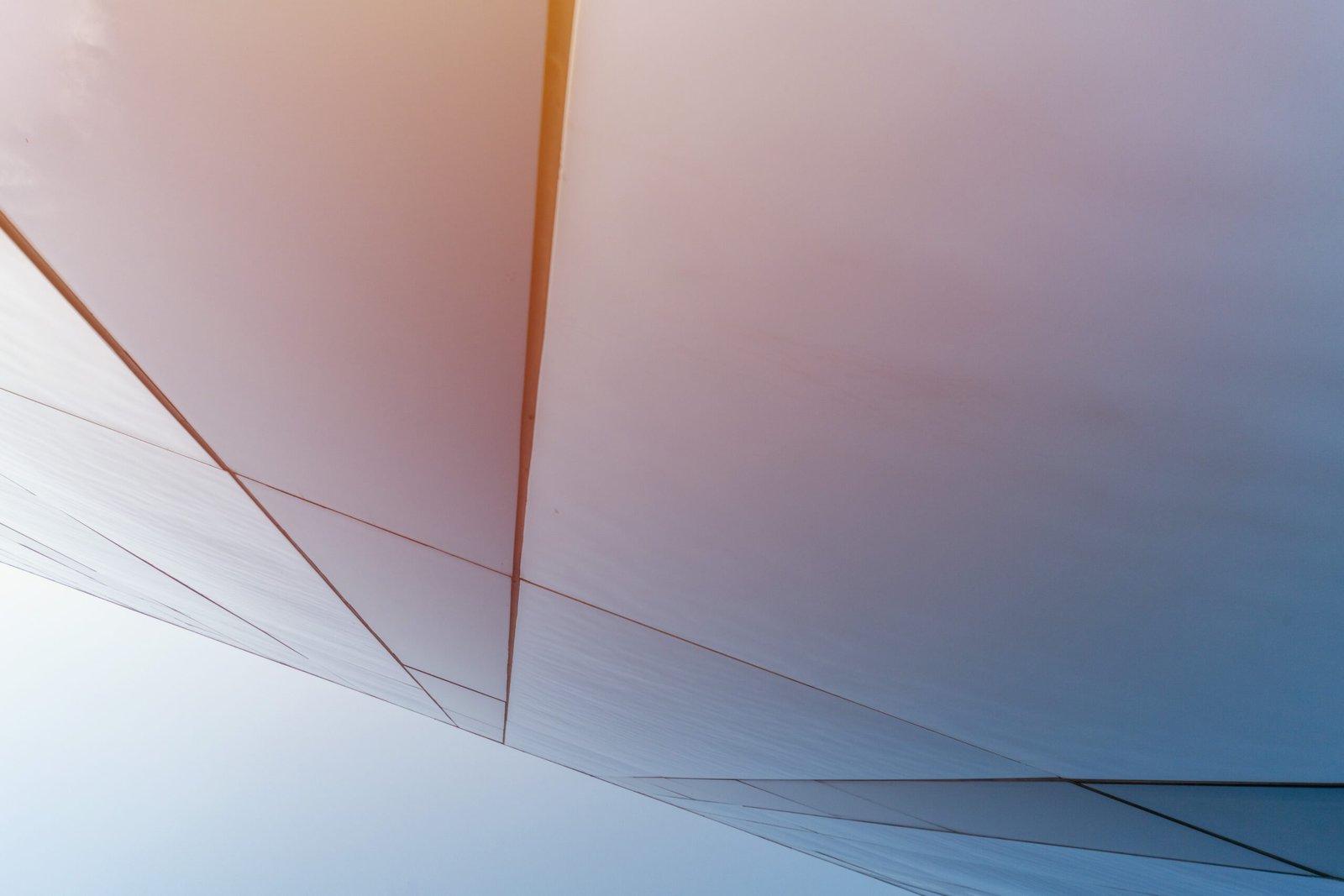 The new role of the CMO and the CRO.